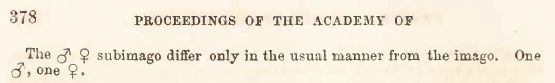 Walsh 1862 continued his description of the mayfly species Ephemerella excrucians in this paper on page 378