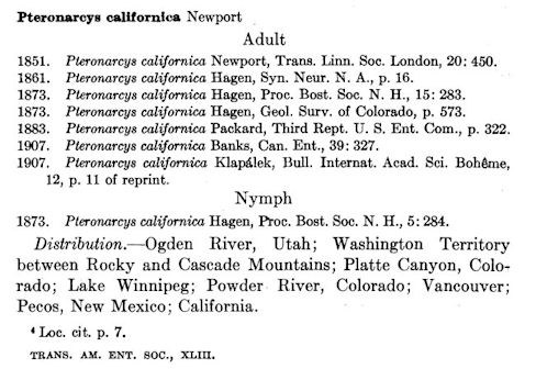 Lucy Smith's description of the salmonfly Pteronarcys californica page 449